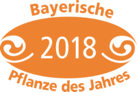 Bayerische Pflanze des Jahres 2018